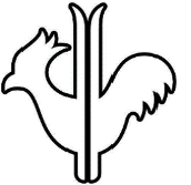 gallo 2